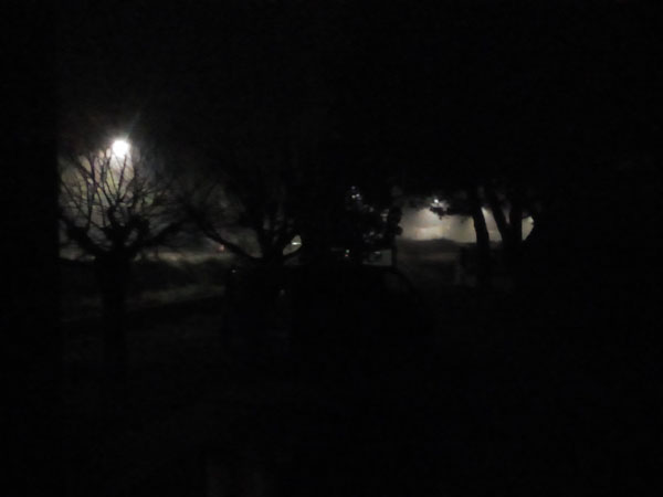 brouillard matinal
